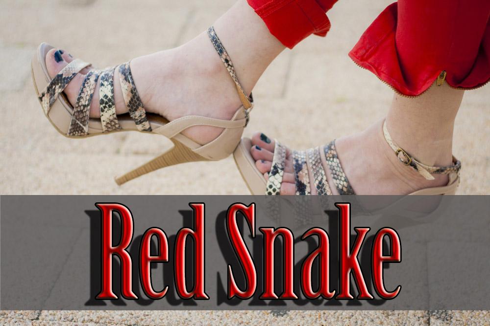 Red Snake snake print maria mare