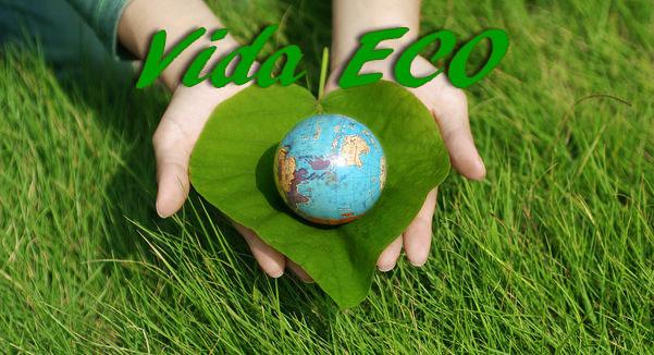 Vida Eco: Día Mundial del Medio Ambiente