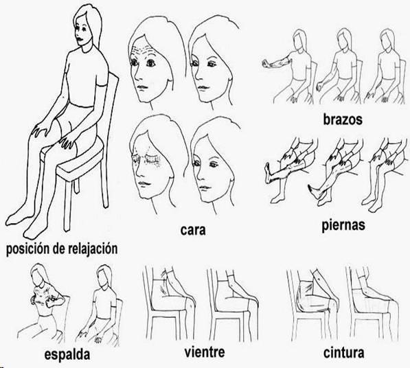 Técnicas