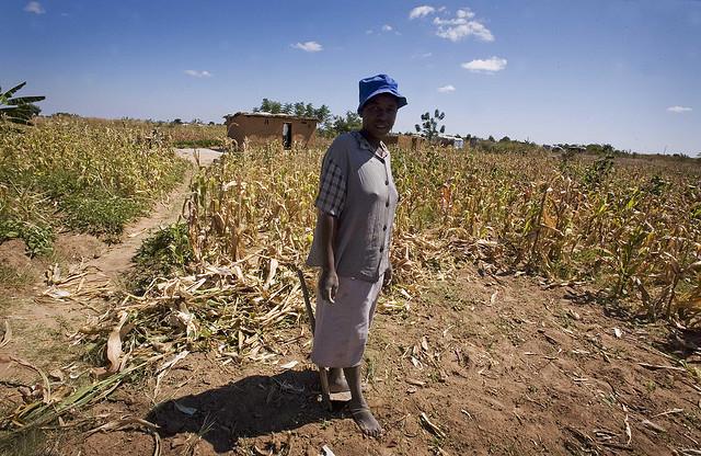 Friday Pic: Zimbabwe Friday Pic: Zimbabwe