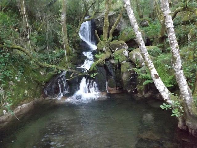 MI LOOK: TOPOS Y KLEIN MI LOOK: TOPOS Y KLEIN