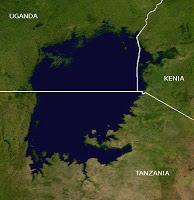 ¿Le apetece una hamburguesa de mosquitos? ¿Le apetece una hamburguesa de mosquitos?