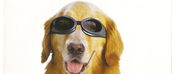 ¿Tienes un filmcan en tu casa? ¿Tienes un filmcan en tu casa?