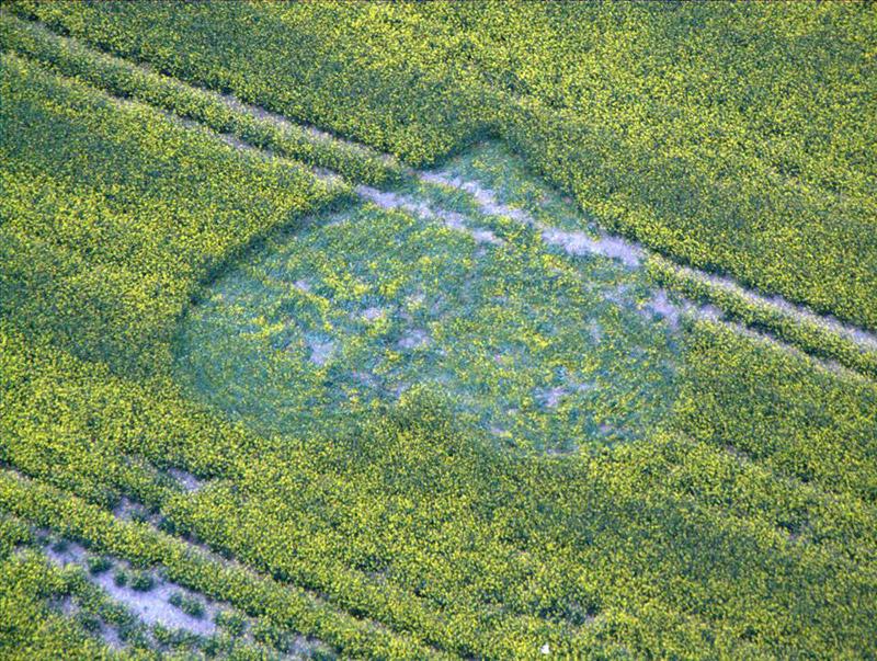 Primeros Crop Circle de la temporada 2013 Primeros Crop Circle de la temporada 2013