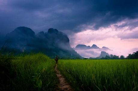 A woman walking on a path through rice paddies to mountains in mist  Vang Vieng, Laos, Asia