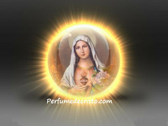 Inmacualdo Corazón de María imagen0007