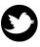 Delirio de las Bloggers Delirio de las Bloggers