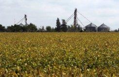 Un campo de soja transgénica en Santa Clata de la Buena Vista, Argentina, el 11 de abril de 2012.