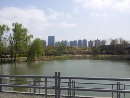 Uno de los lagos del parque, yo dría que es más grande que el central Park de NYC