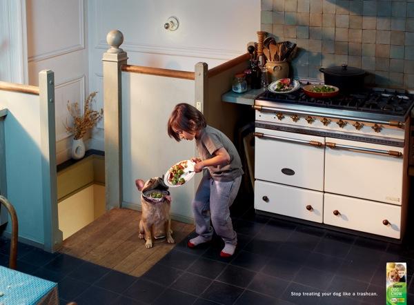 Purina-Dog-Chow-Pug.jpg Purina Dog Chow Pug