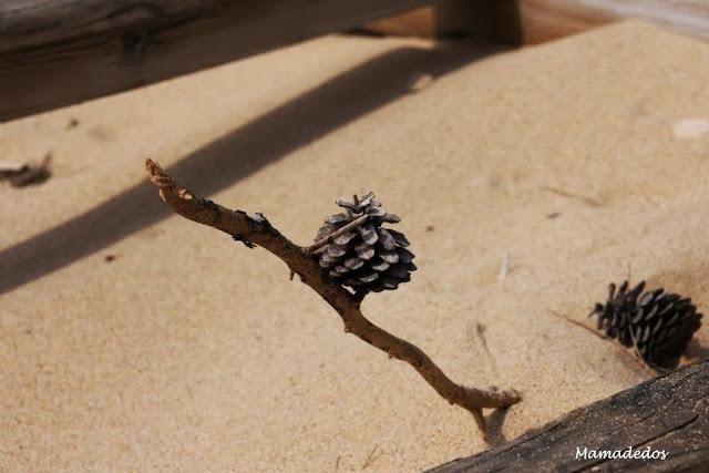 Miércoles de Sensaciones Miércoles de Sensaciones