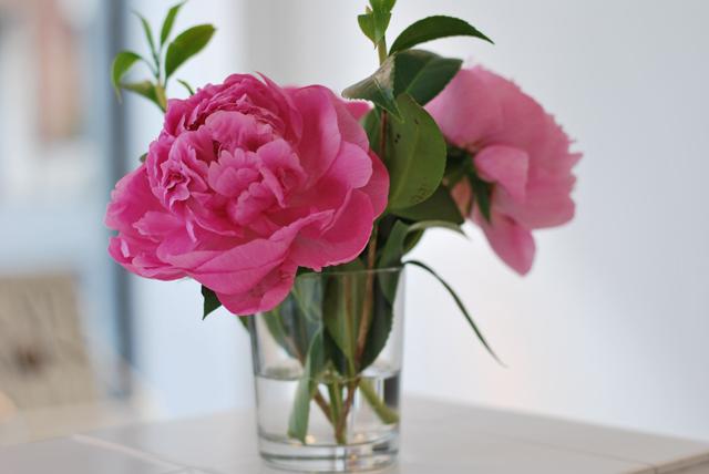 Arrópame y... Von Vonni transformer dress contest Arrópame y... Von Vonni transformer dress contest