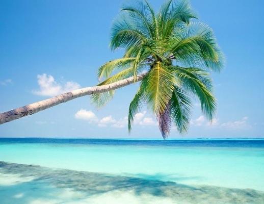 Luna de miel: México riviera maya luna de miel en mexico