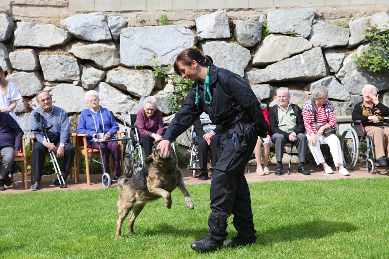 GOSS.O.S en defensa de la violencia de género GOSS.O.S en defensa de la violencia de género