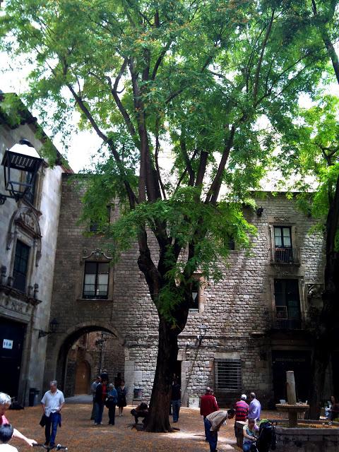 BARCELONA...LAS ACACIAS Y UN PASEO POR LA BARCELONA MASÓNICA...13-06-2013... BARCELONA...LAS ACACIAS Y UN PASEO POR LA BARCELONA MASÓNICA...13-06-2013...