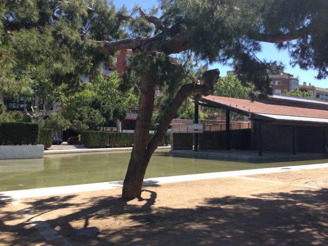 El parque de la tirolina IMG_4136