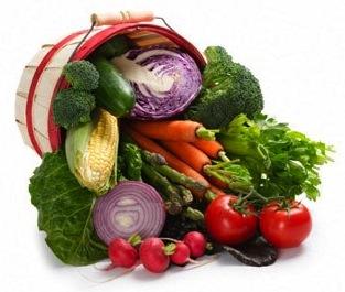¿Porque comer proteínas vegetales? proteina vegetal