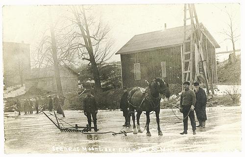 Frederic Tudor, el rey hielo ICE HARVEST, Moon Lake, near Bailey, Mich.