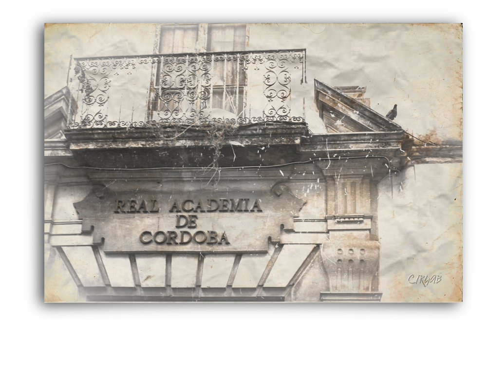 Detalles Detalles