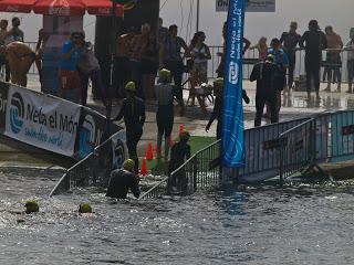 3ª Neda el món - 3ª Nedem Plegats . 3ª Neda el món - 3ª Nedem Plegats .