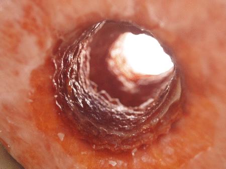 CRONUTS (ni croissant, ni donut) CRONUTS (ni croissant, ni donut)