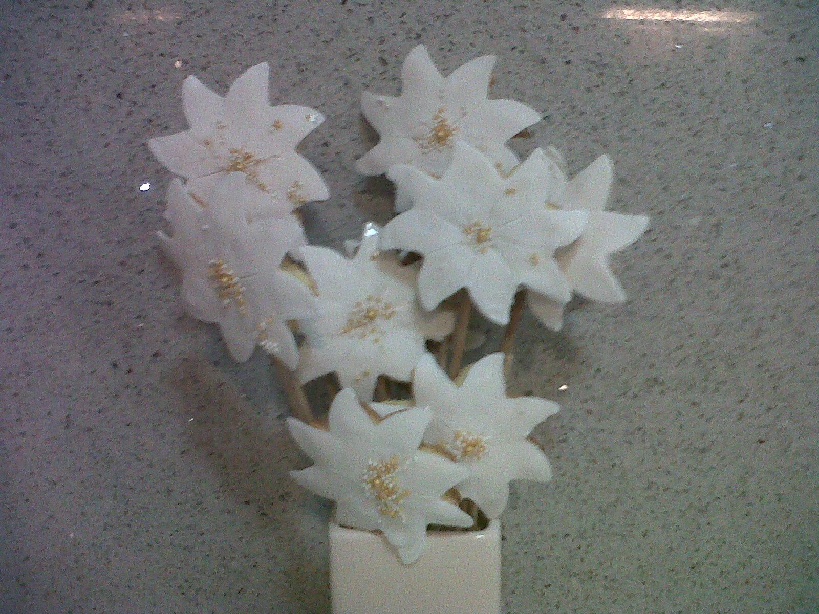 Galletas y flores con fondant para Aina Galletas y flores con fondant para Aina