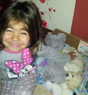 Guismo mi nueva mascota Guismo mi nueva mascota