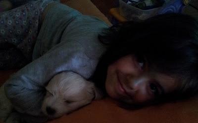 Guismo mi nueva mascota Guismo mi nueva mascota