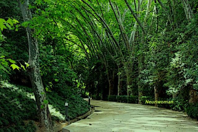 Nadie es imprescindible Nadie es imprescindible