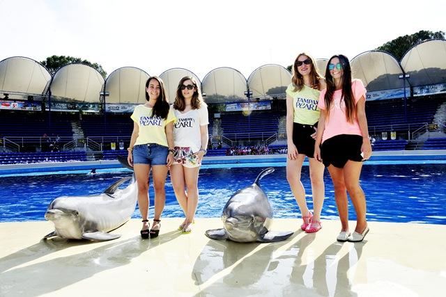 blogers Tampax_262 blogers Tampax_262