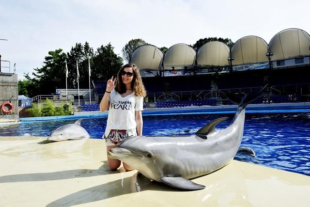 blogers Tampax_305 blogers Tampax_305