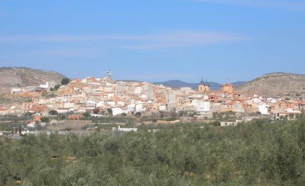 Elche de la Sierra (Albacete) Vista general de Elche de la Sierra