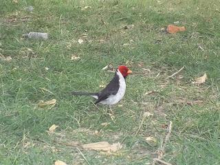 El Espíritu respiramos palabras