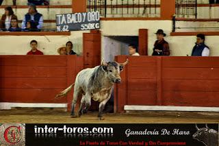 We'll always have Tlaxcala…  o la bilocación del aficionado