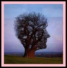 Línea de tiempo... Línea de tiempo...