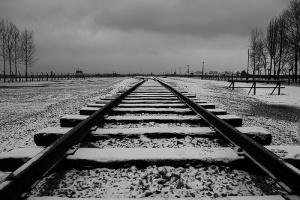 Lo que nunca dijimos… adios