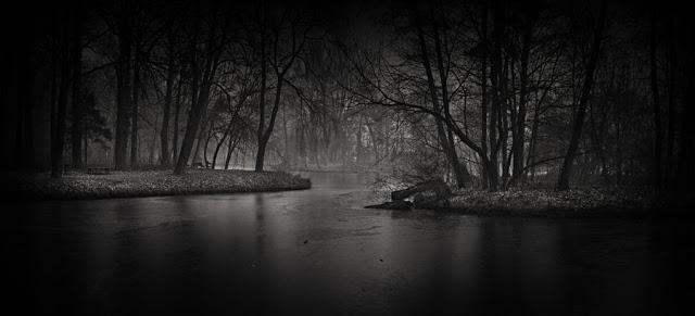 Caer para volar... Caer para volar...