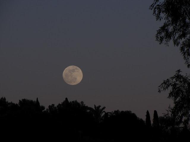 ¿Es la vida una ilusión... ¿Es la vida una ilusión...