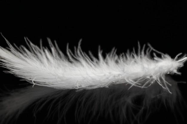 Sólo se va cuando tu la dejas... Sólo se va cuando tu la dejas...