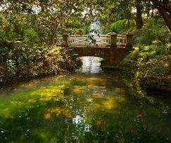 Jardines Botánicos: Atractivos Turísticos para los sentidos!