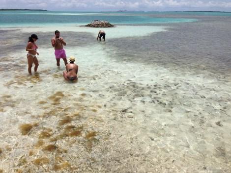 Viajar a Los Roques y ahorrar un poco Viajeros en el Palafito