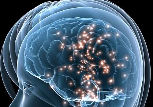 BigBrain recrea el cerebro humano en 3D BigBrain recrea el cerebro humano en 3D