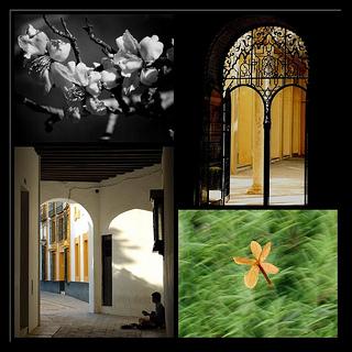 La voz de los espejos IV Las vidas del poeta IX