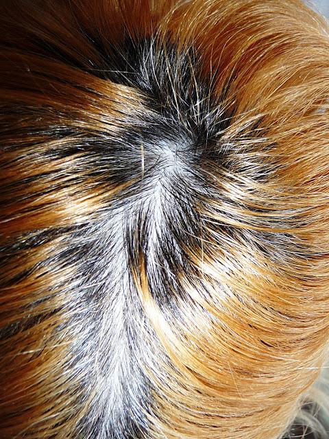 Tinte para pelo rubio para aplicar en casa: Tahe Tinte para pelo rubio para aplicar en casa: Tahe