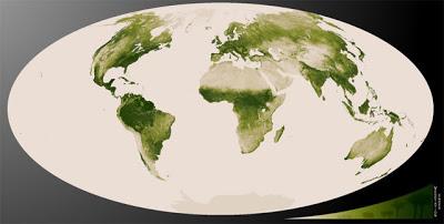 Mapa de la Vegetación en la Superficie Terrestre