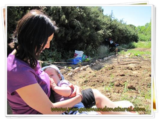 5 pasos para tener éxito en tu Lactancia Lactancia