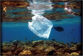 Pucón es la primera ciudad que prohíbe el uso de bolsas plásticas en el comercio