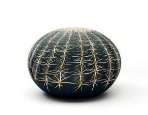 3 Un cactus en tu salón