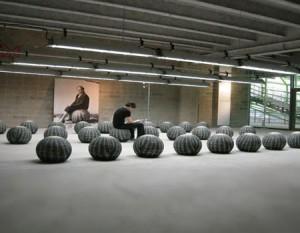 7 Un cactus en tu salón