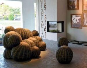 6 Un cactus en tu salón